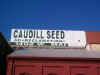 Caudill-B.JPG (26306 bytes)