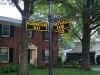 Street-4.JPG (46165 bytes)